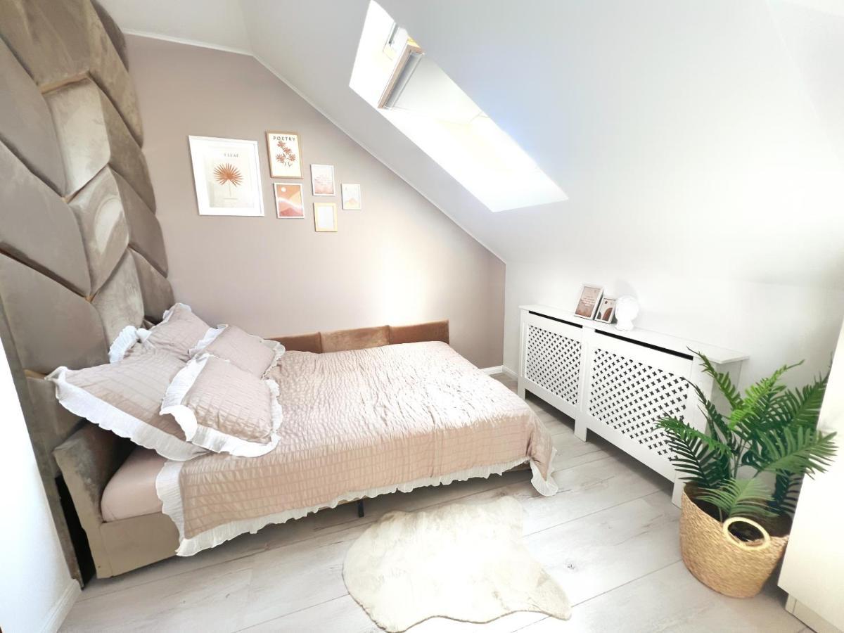 Studio Poienii - A Cozy Stay 5 Min Away From The Center Bistriţa Eksteriør bilde